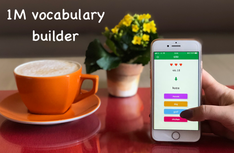 1M vocabulary builder